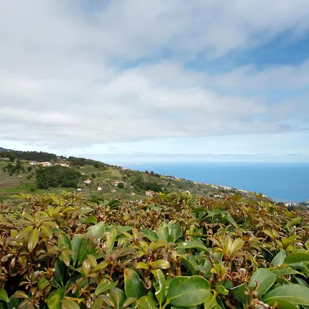 View Mountain *